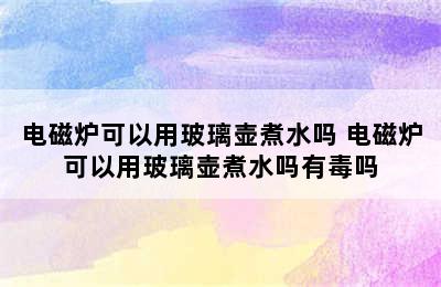 电磁炉可以用玻璃壶煮水吗 电磁炉可以用玻璃壶煮水吗有毒吗